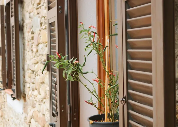 Apartman Doria's Nest - *