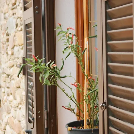 Appartement Doria's Nest - *